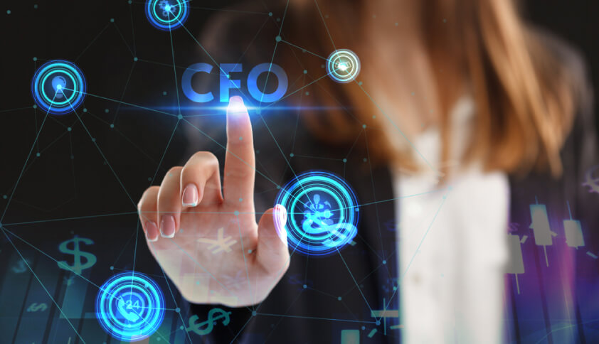 Virtual CFO Services